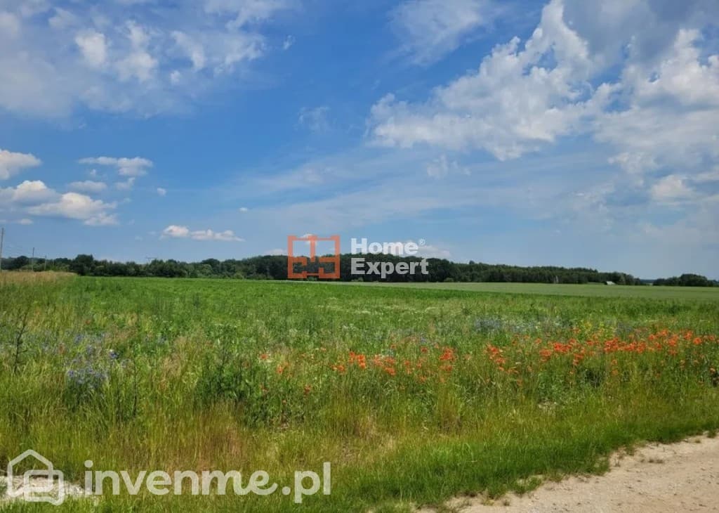 DO SPRZEDAŻY działka w otoczeniu lasów 2 164m2 - zdjęcie 7