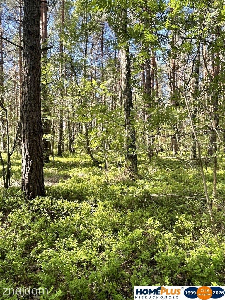 Działki na sprzedaż – Ciemne k. Radzymina - zdjęcie 6