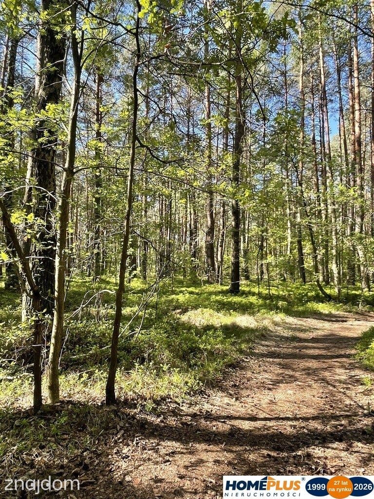Działki na sprzedaż – Ciemne k. Radzymina - zdjęcie 7