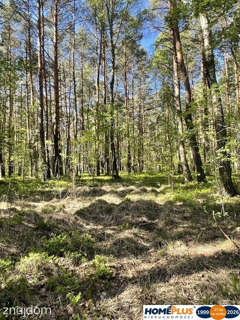 Działki na sprzedaż – Ciemne k. Radzymina - zdjęcie 8