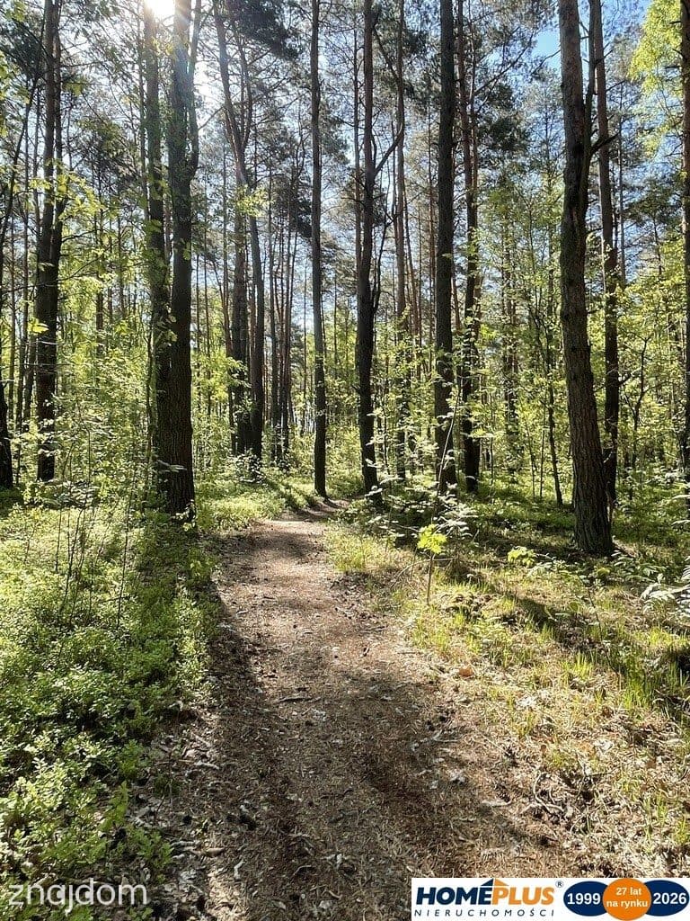 Działki na sprzedaż – Ciemne k. Radzymina - zdjęcie 9