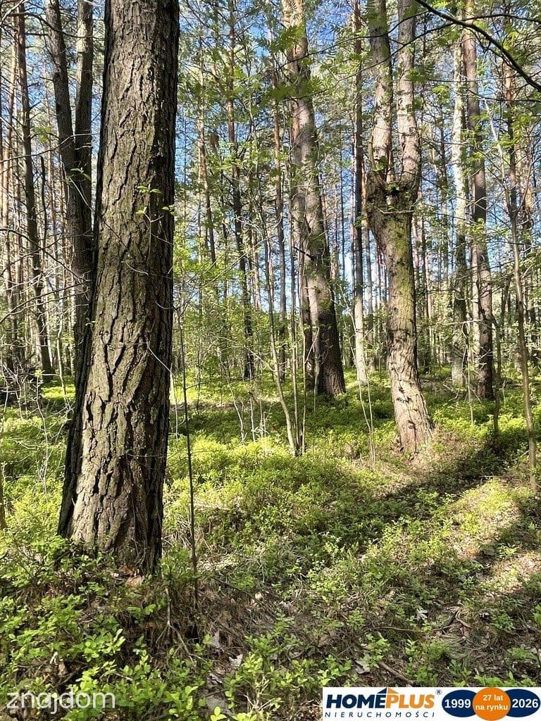 Działki na sprzedaż – Ciemne k. Radzymina - zdjęcie 4