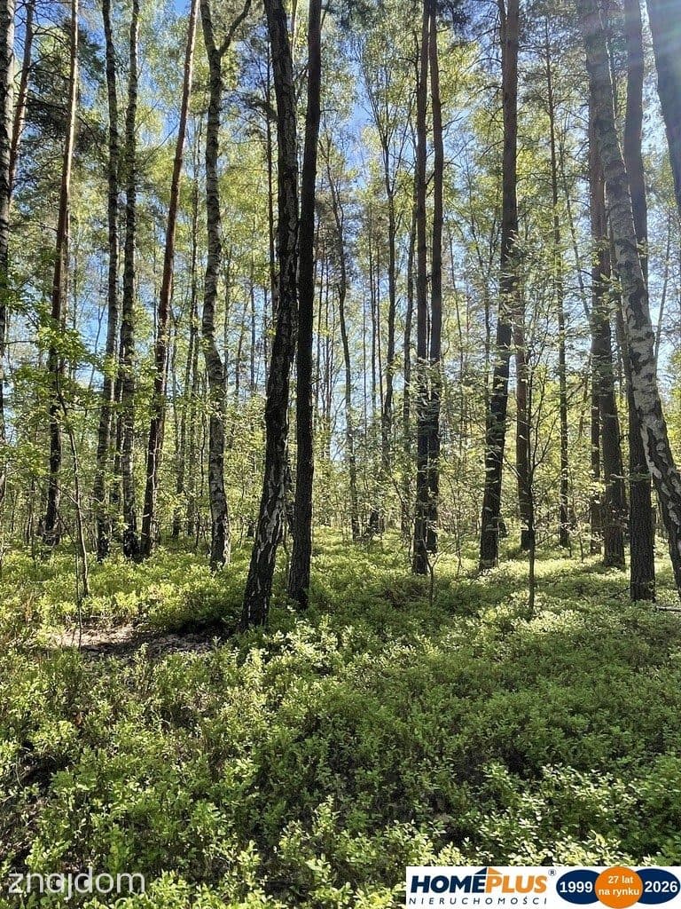 Działki na sprzedaż – Ciemne k. Radzymina