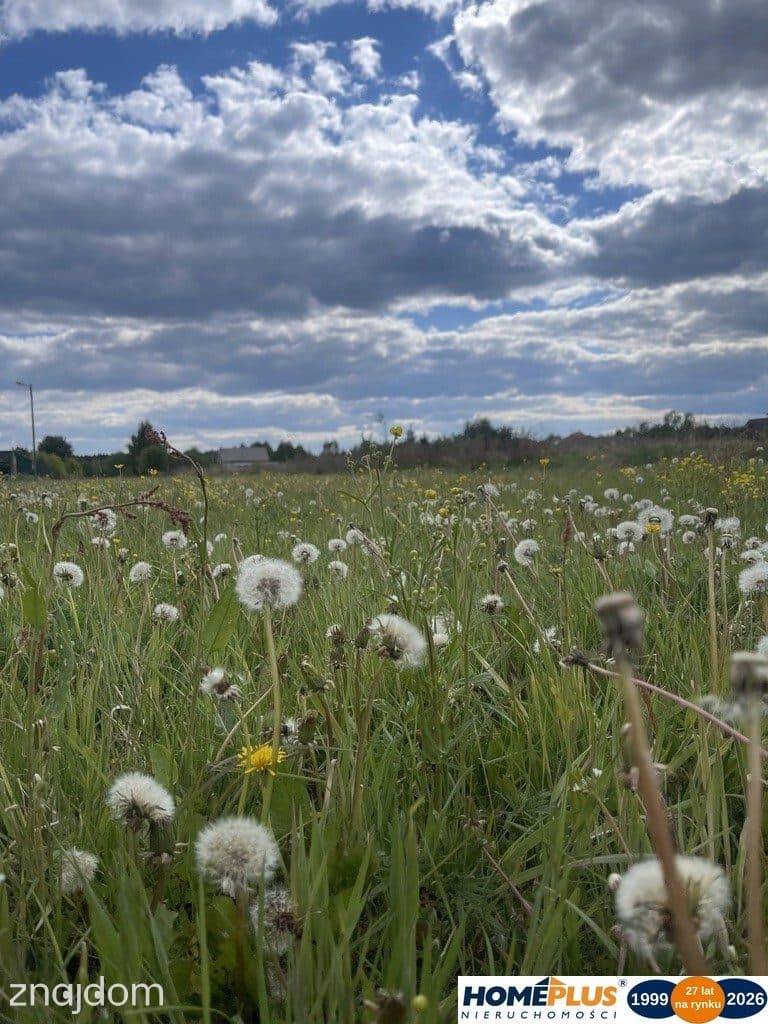 Atrakcyjna nieruchomość o pow. 41 902 m². - zdjęcie 7