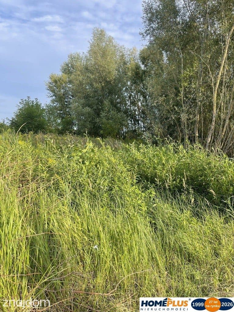Działka 2,5 ha Dąbrówka, blisko S8, media, MPZP - zdjęcie 6