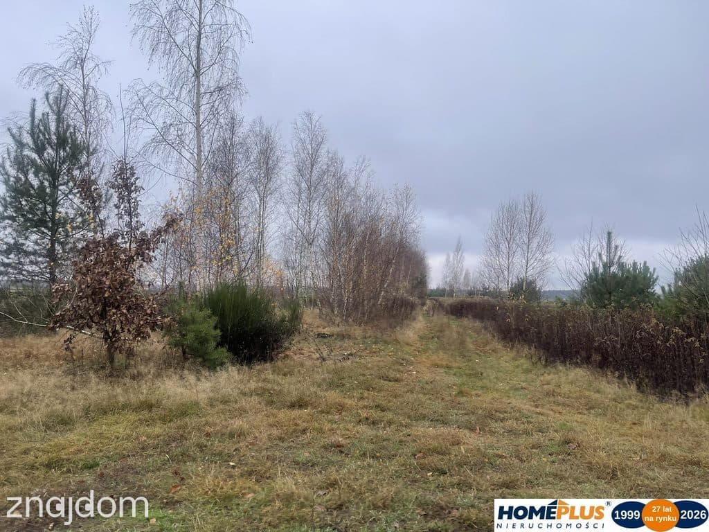 Działka 6443 m² z mediami przy asfaltowej drodze.