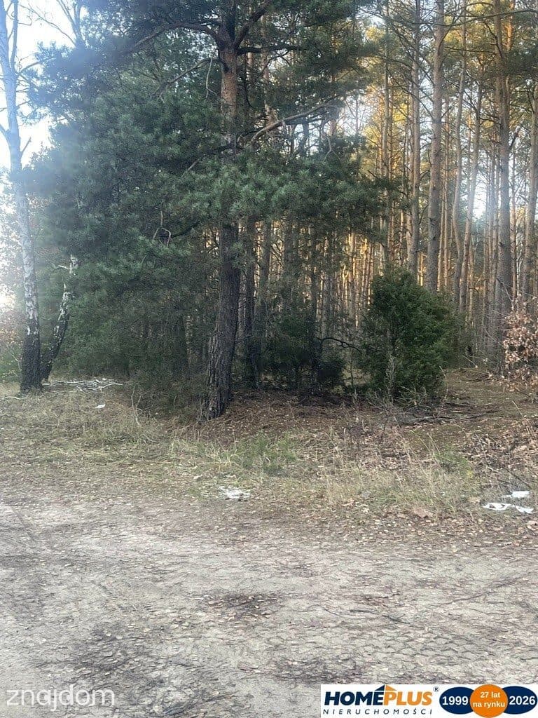 Działka inwestycyjna 5,5 ha, produkcja i usługi. - zdjęcie 2