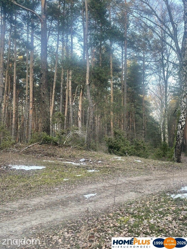 Działka inwestycyjna 5,5 ha, produkcja i usługi. - zdjęcie 3