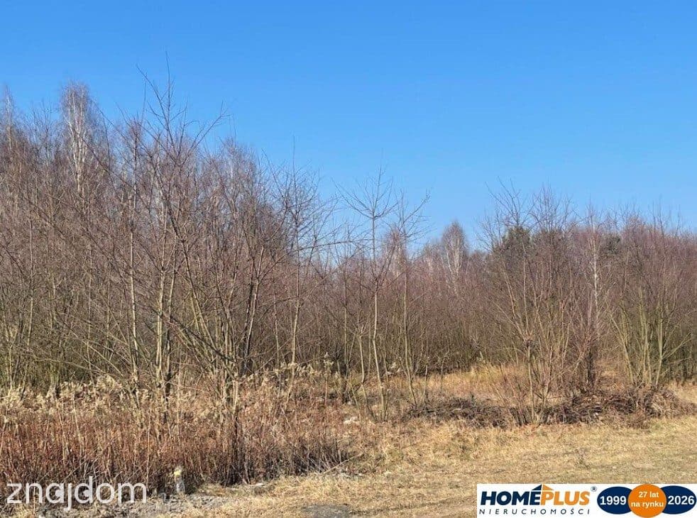 Działka budowlana 5428 m² Słupno – wszystkie media - zdjęcie 2