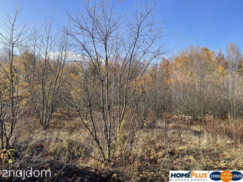 Działka budowlana 5428 m² Słupno – wszystkie media - zdjęcie 3