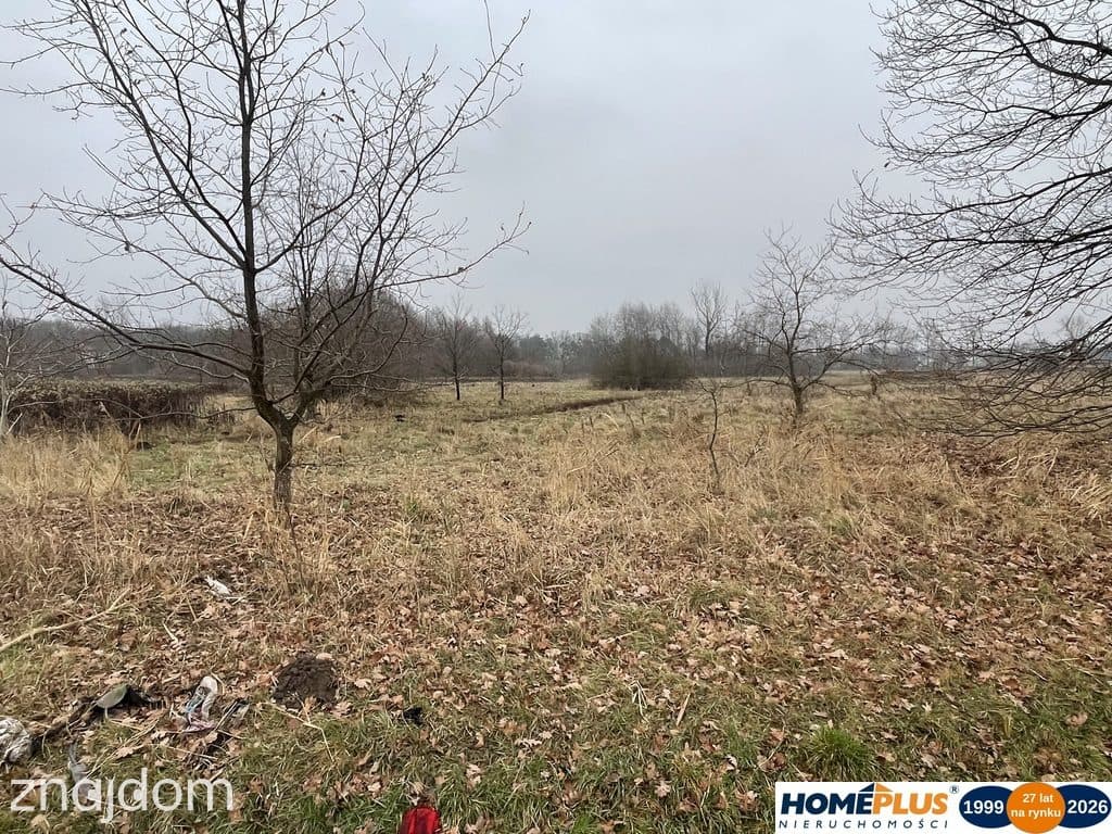 Działka 5979 m² usługi i zabudowa jednorodzinna - zdjęcie 5