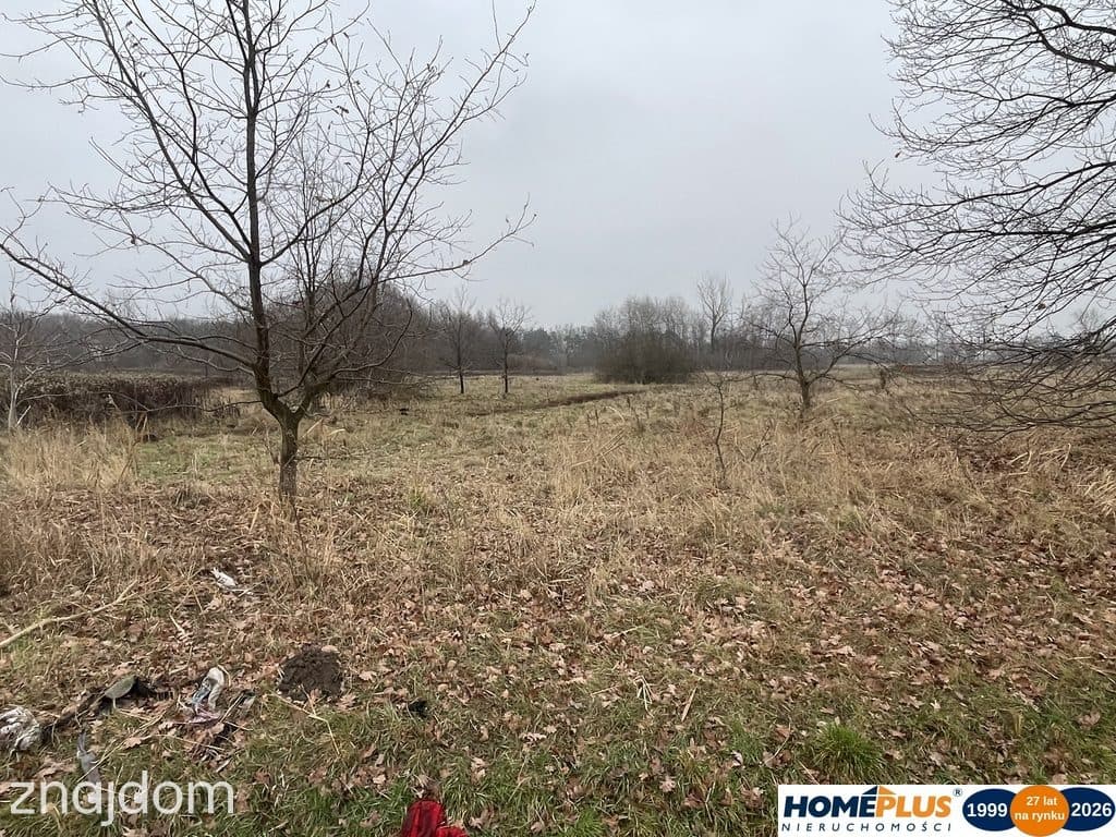 Działka 5979 m² usługi i zabudowa jednorodzinna - zdjęcie 3