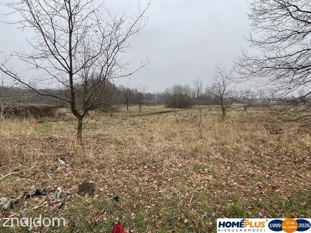 Działka 5979 m² usługi i zabudowa jednorodzinna - zdjęcie 8