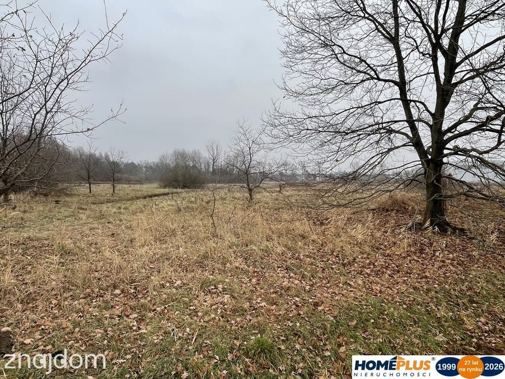 Działka 5979 m² usługi i zabudowa jednorodzinna - zdjęcie 6