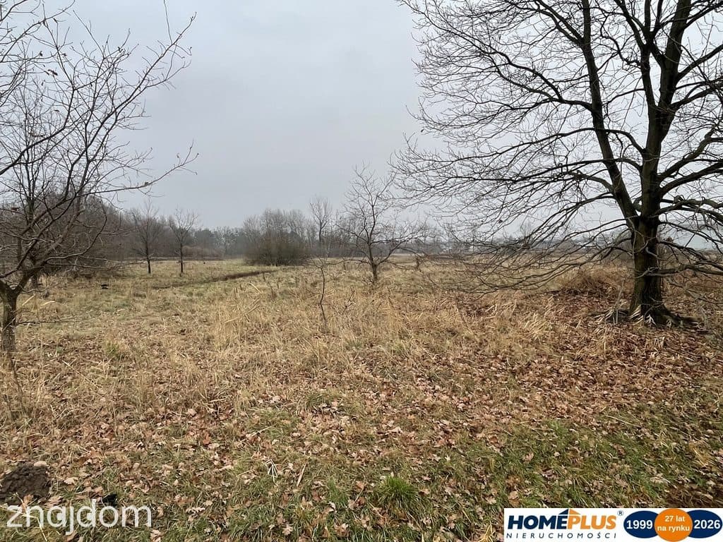 Działka 5979 m² usługi i zabudowa jednorodzinna - zdjęcie 9