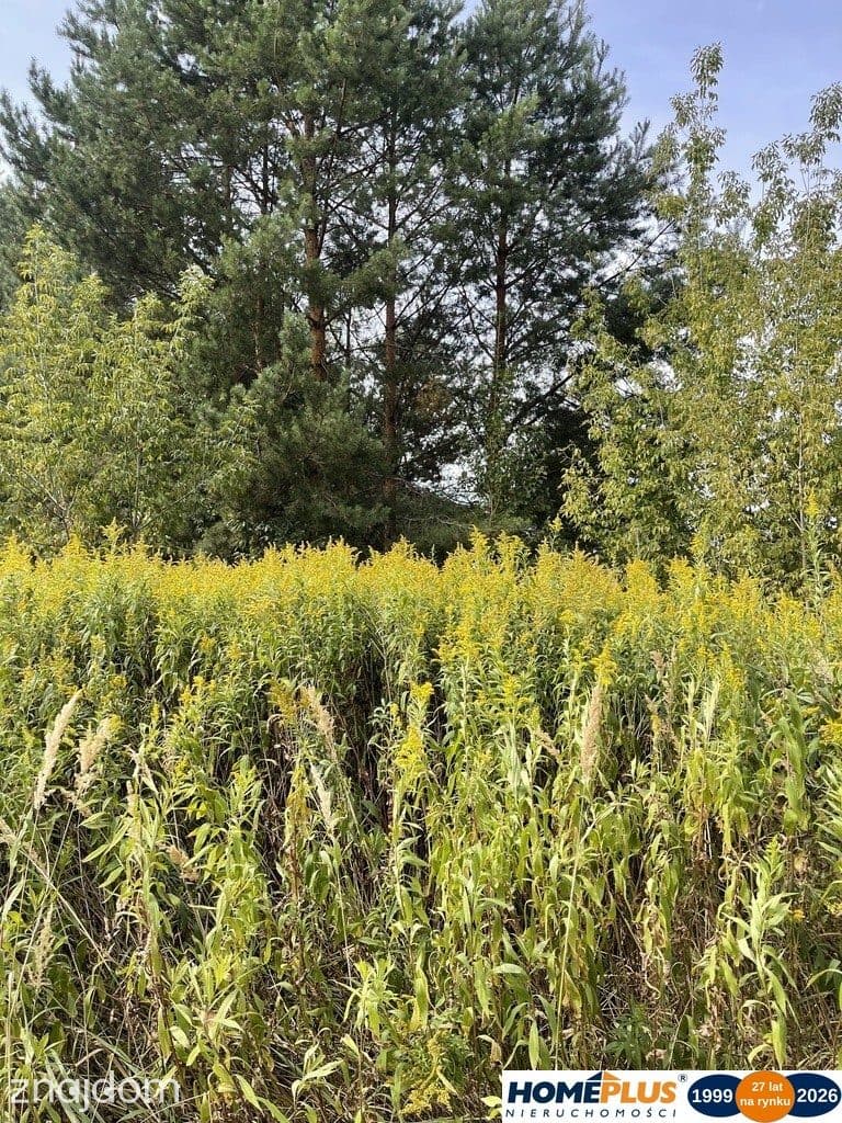 Działka budowlana 869 m², Słupno k. Radzymina - zdjęcie 2