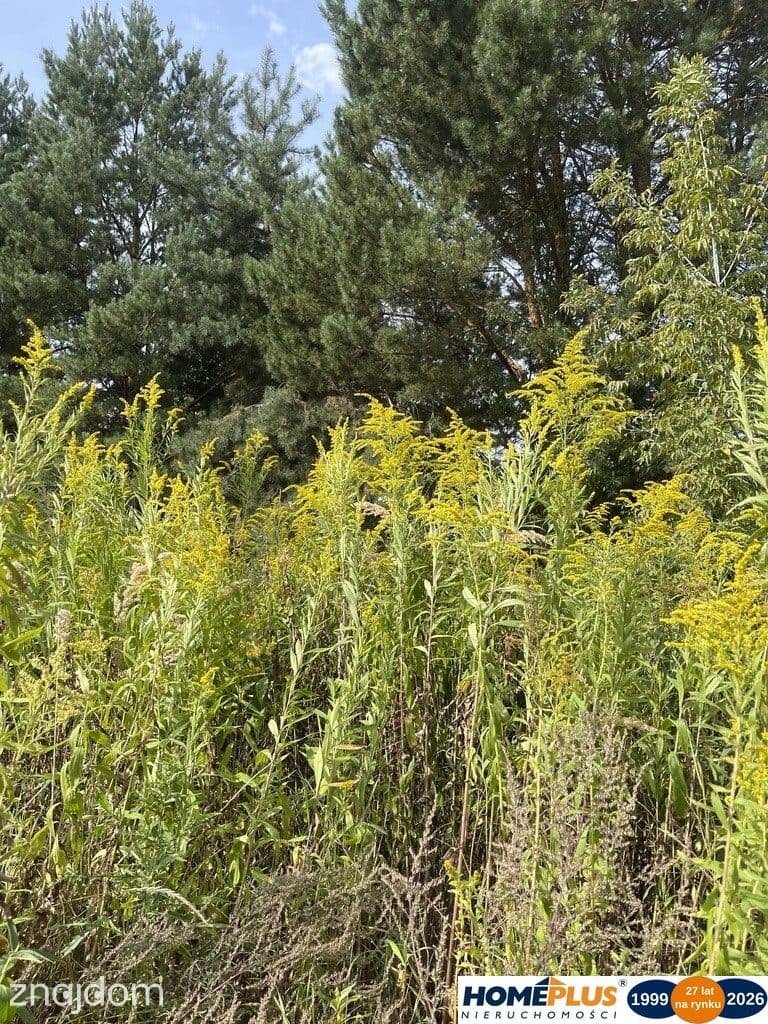 Działka budowlana 869 m², Słupno k. Radzymina - zdjęcie 4