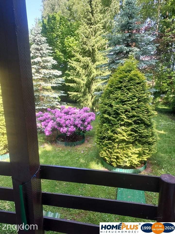 Działka z domkiem przy Bugu na końcu świata - zdjęcie 9