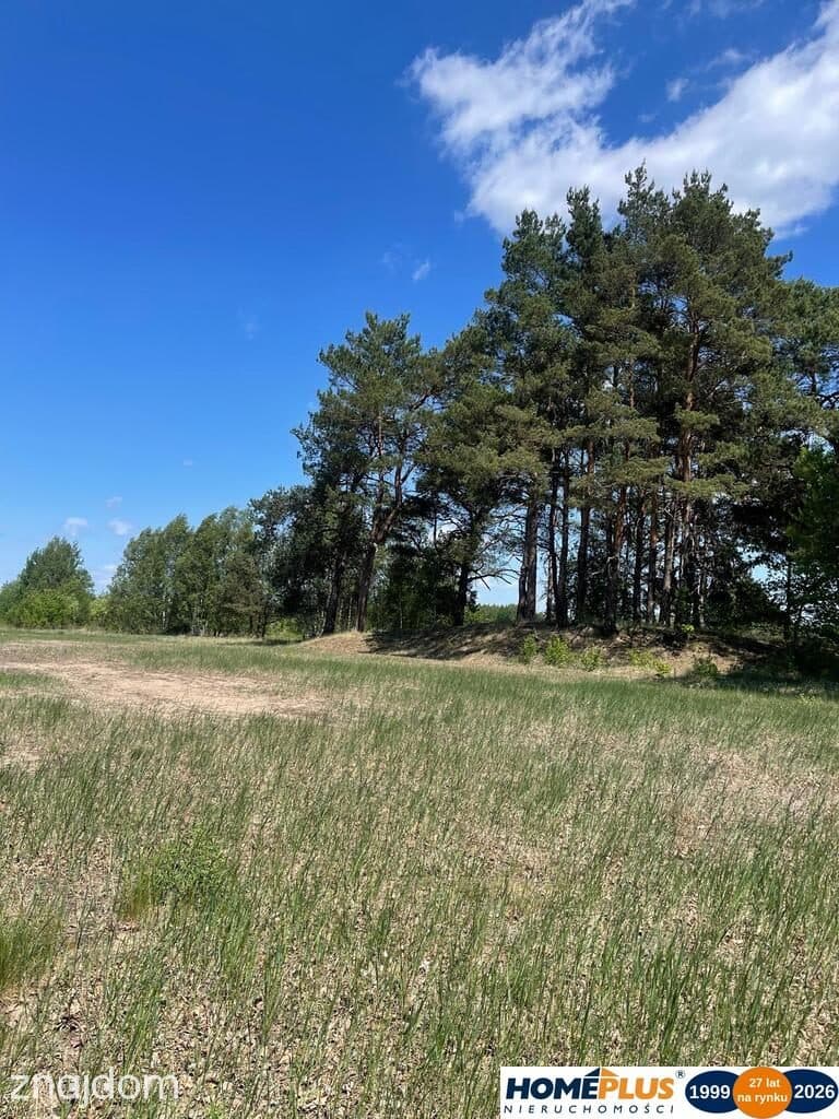 Działka budowlana 2060 m² Łosie blisko Radzymina. - zdjęcie 10