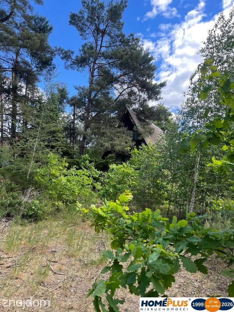 Dom letniskowy Brda Łosie koło Radzymina 1148m2 - zdjęcie 4