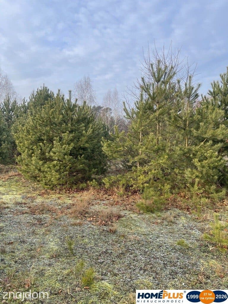 Działka 1000 m² pod zabudowę letniskową. - zdjęcie 4
