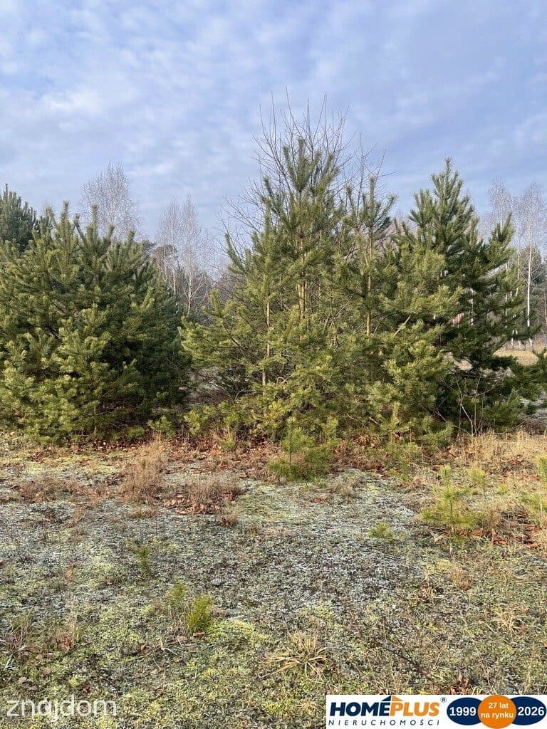 Działka 1000 m² pod zabudowę letniskową. - zdjęcie 5