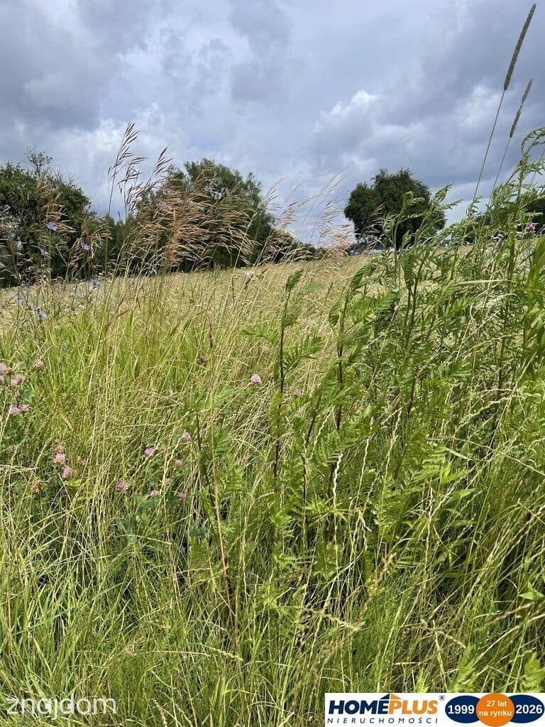 Działka 10 244 m² zabudowa mieszkaniowa i usługi - zdjęcie 2
