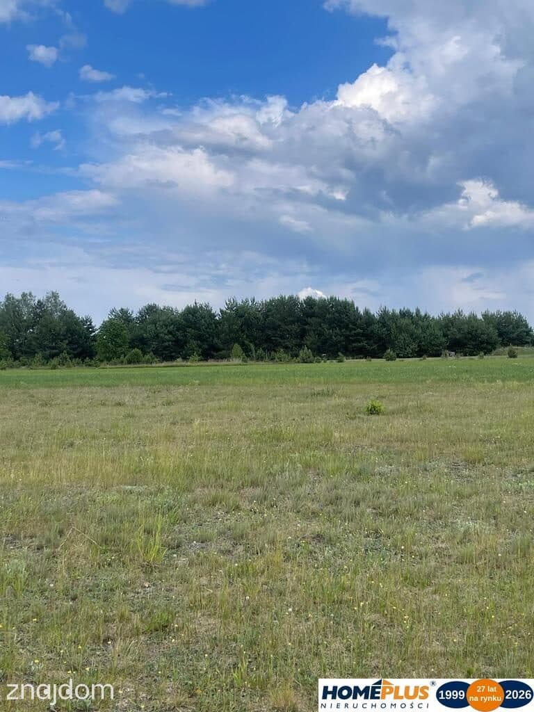 Działka budowlana 1200 m² z domkiem mobilnym. - zdjęcie 7