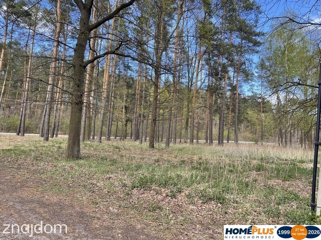 Działka bud. 1371 m² przy lesie, zielona okolica. - zdjęcie 4