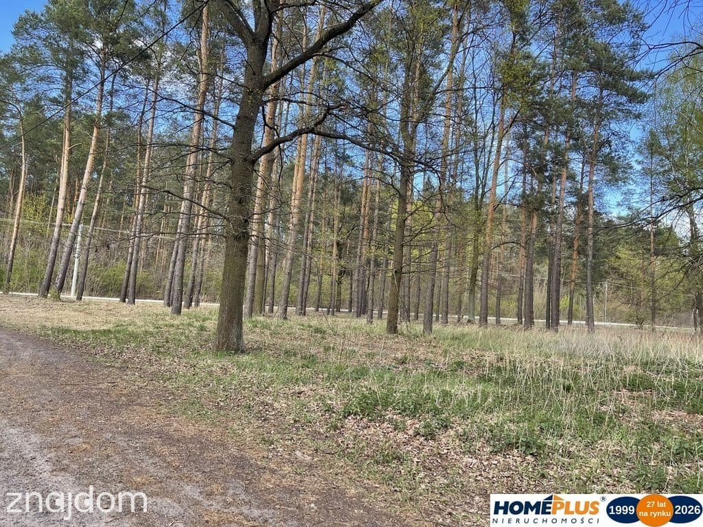 Działka bud. 1371 m² przy lesie, zielona okolica. - zdjęcie 5