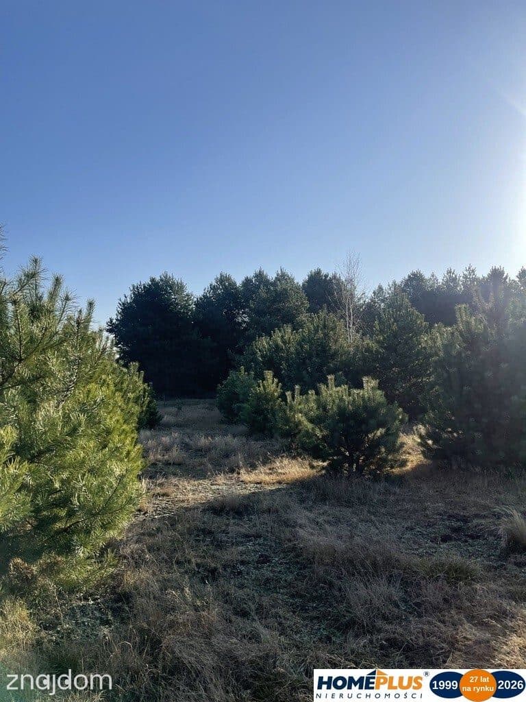 Działka o pow.6883 m² w zielonej okolicy. - zdjęcie 2