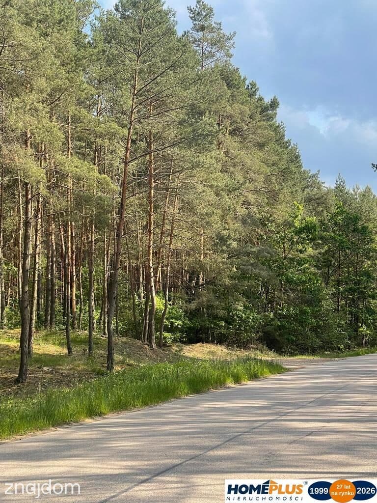 Idealne miejsce na dom,6241 m² blisko lasu i rzeki - zdjęcie 2