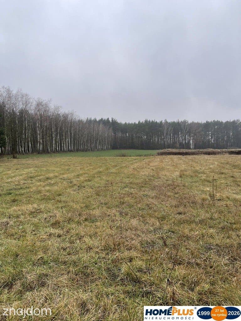 Działka bud. 4113 m² w Sierakowie koło Radzymina. - zdjęcie 6