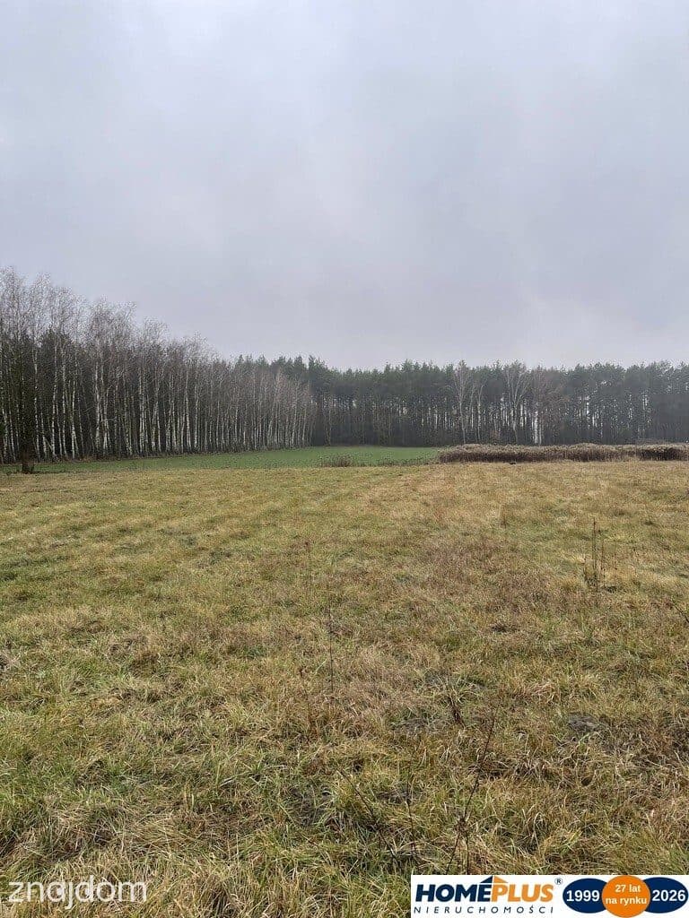 Działka bud. 4113 m² w Sierakowie koło Radzymina. - zdjęcie 9