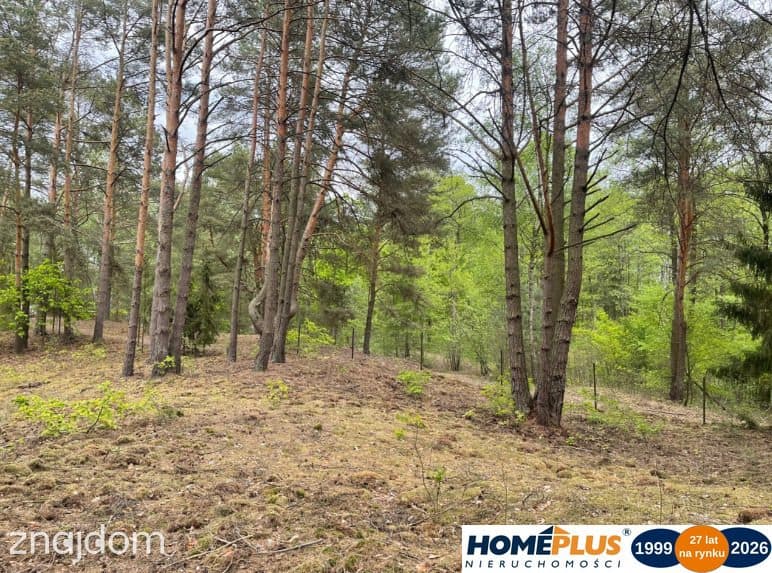 Działka w lesie 2064 m² - letniskowa i całoroczna - zdjęcie 4