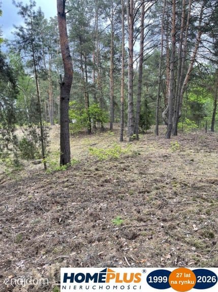 Działka w lesie 2064 m² - letniskowa i całoroczna - zdjęcie 6