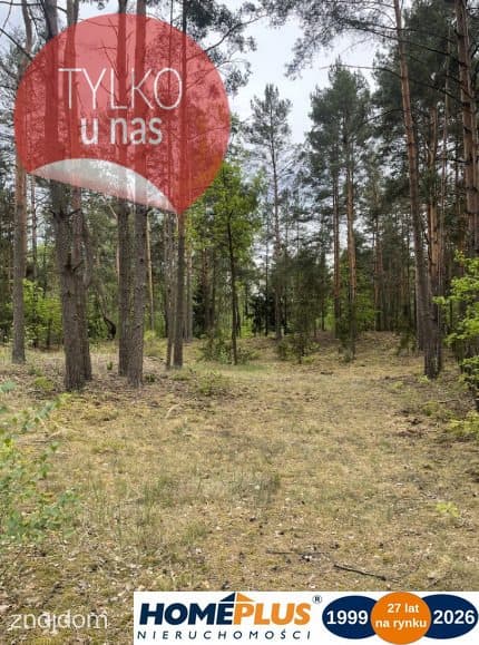 Działka w lesie 2064 m² - letniskowa i całoroczna