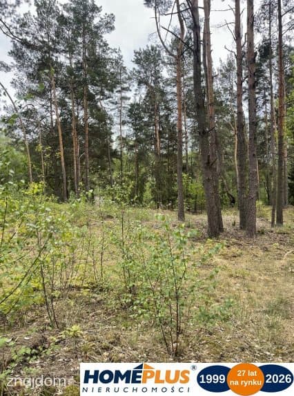 Działka w lesie 2064 m² - letniskowa i całoroczna - zdjęcie 5