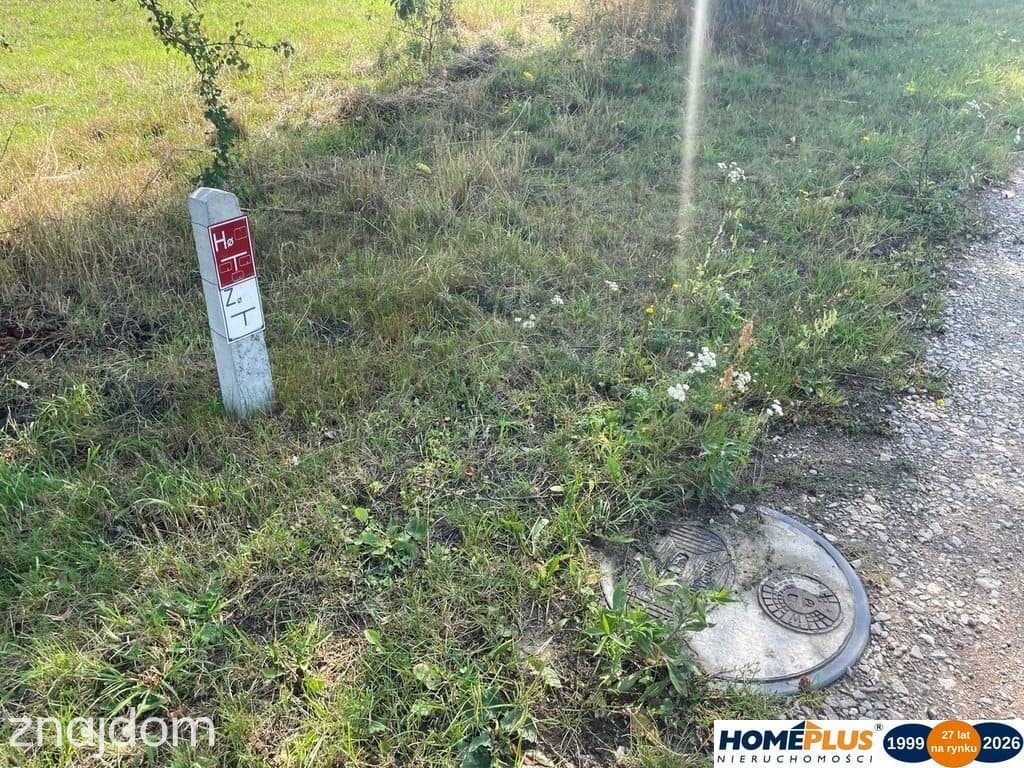 Działka usługowa Radzymin blisko trasy S8 - zdjęcie 2