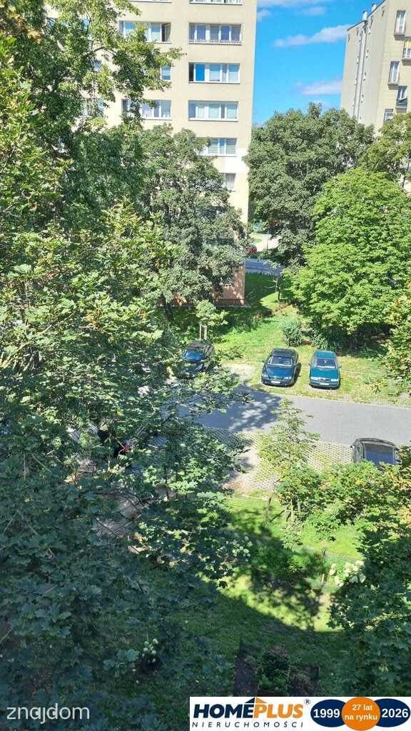 2 pokoje plus widna kuchnia, odnowiony budynek - zdjęcie 5