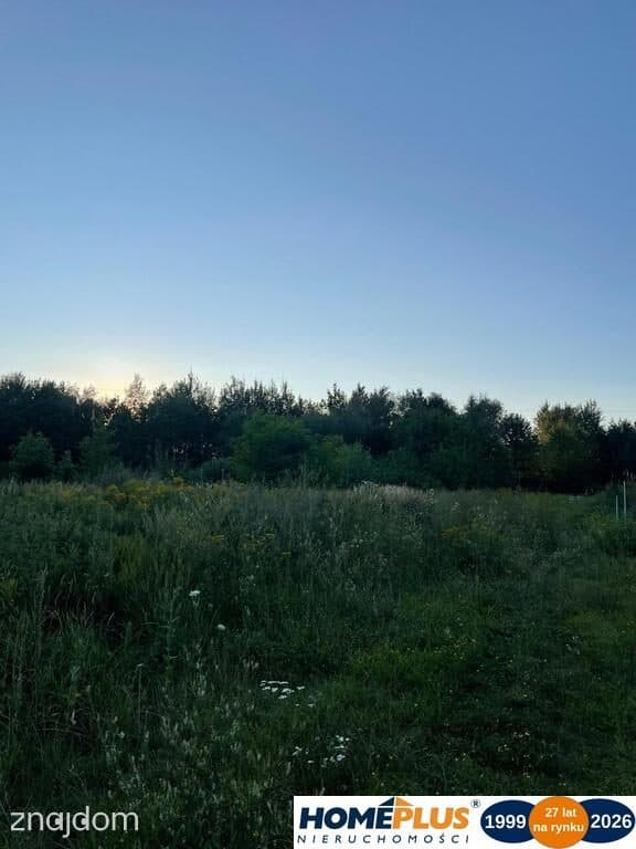Działka 9339 m² pod dom lub usługi - zdjęcie 2