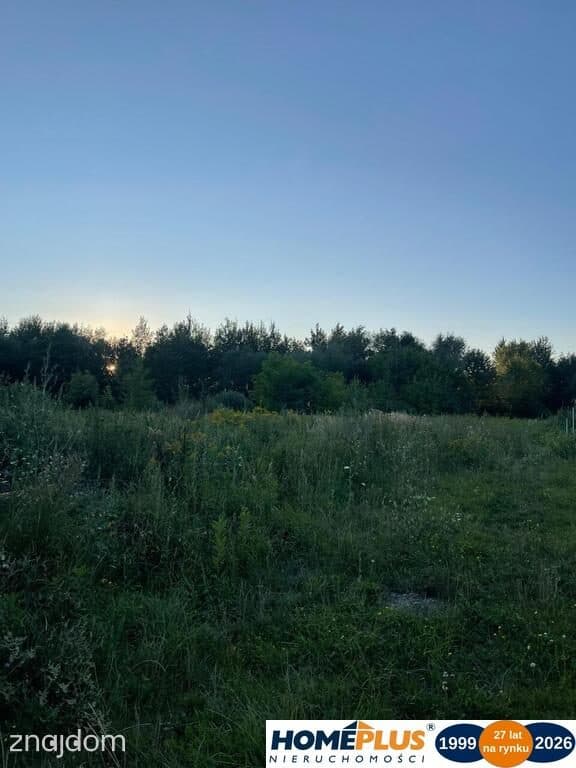 Działka 9339 m² pod dom lub usługi - zdjęcie 4