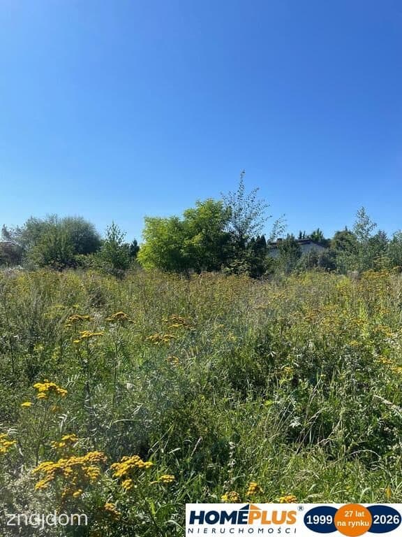 Działka 9339 m² pod dom lub usługi - zdjęcie 6