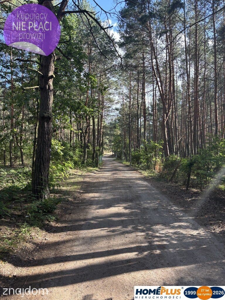Działka budowlana w lesie, Łosie koło Radzymina
