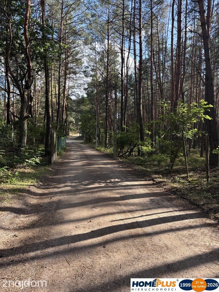 Działka budowlana w lesie, Łosie koło Radzymina - zdjęcie 5