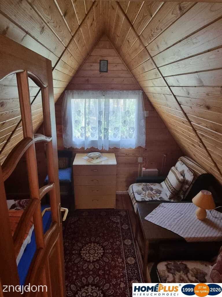 Domek letniskowy w lesie blisko rzeki i Zegrza. - zdjęcie 10