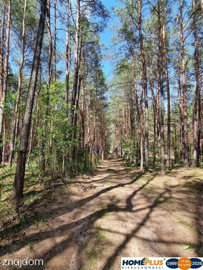 Domek letniskowy w lesie blisko rzeki i Zegrza. - zdjęcie 15