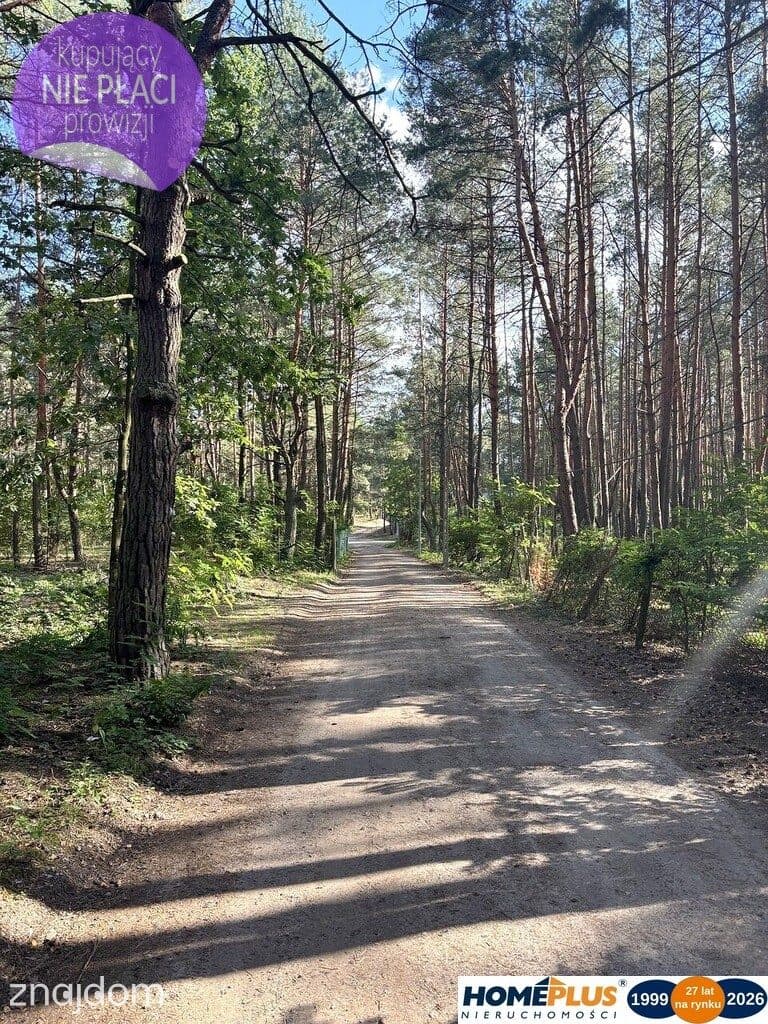 Działka budowlana w lesie, Łosie koło Radzymina