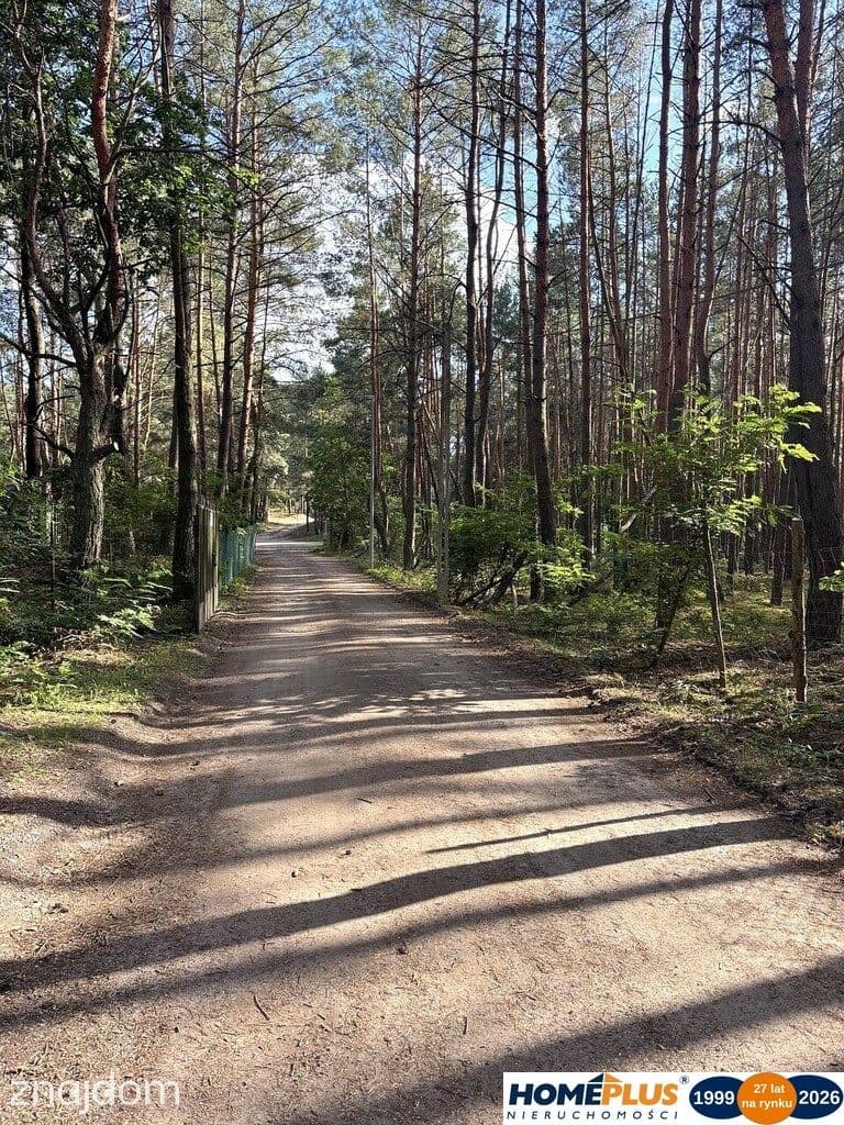 Działka budowlana w lesie, Łosie koło Radzymina - zdjęcie 5