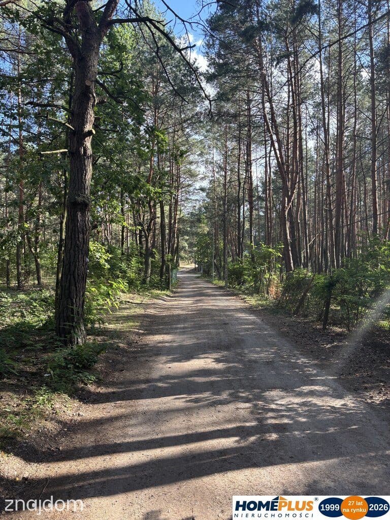 Działka budowlana w lesie, Łosie koło Radzymina - zdjęcie 2